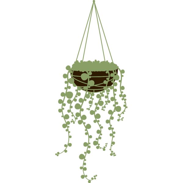 Hanging Plants 3 Thumbnail