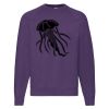 Classic 80/20 raglan sweatshirt Thumbnail