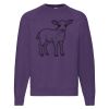 Classic 80/20 raglan sweatshirt Thumbnail
