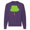 Classic 80/20 raglan sweatshirt Thumbnail