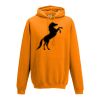 College hoodie Thumbnail