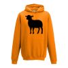 College hoodie Thumbnail