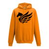 College hoodie Thumbnail