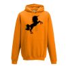 College hoodie Thumbnail
