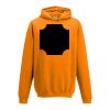 College hoodie Thumbnail