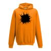 College hoodie Thumbnail